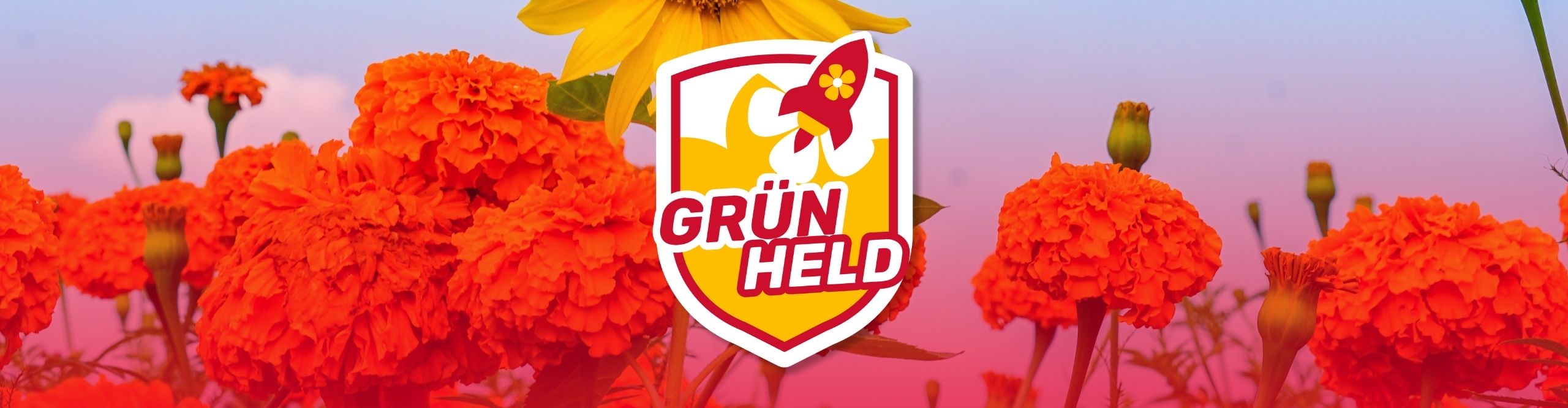 Werden auch Sie ein GrünHeld - DSW-Mitglieder sind in den Wohnquartieren in grüner Mission