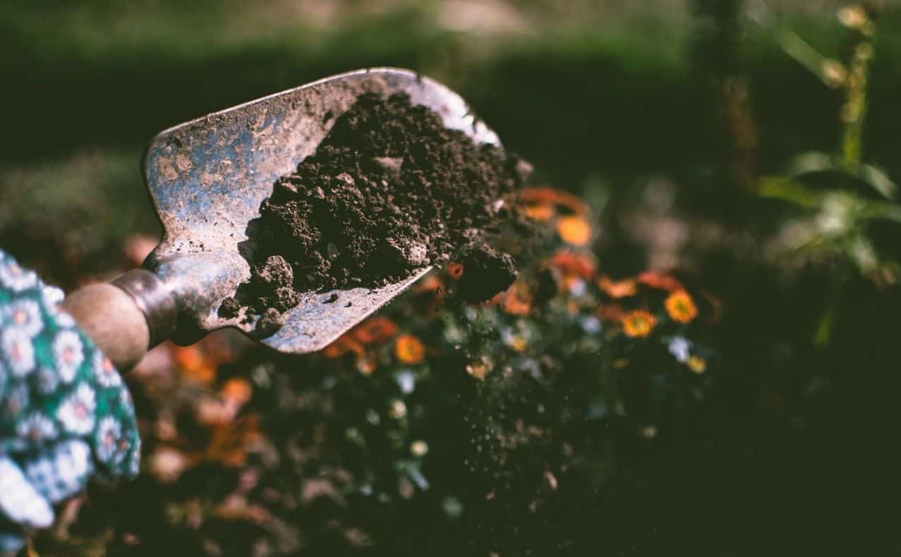 DSW-GruenHelden-Mietergarten-vor-der-Haustuer-pflegen