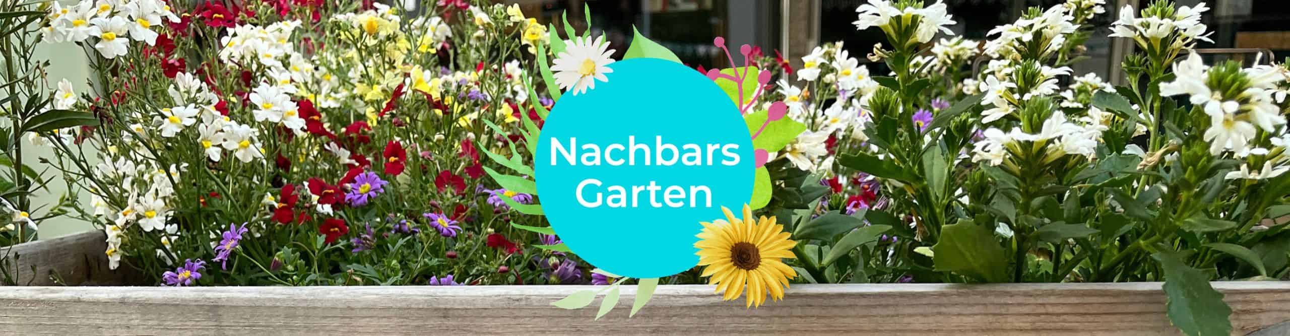 Nachbars Garten