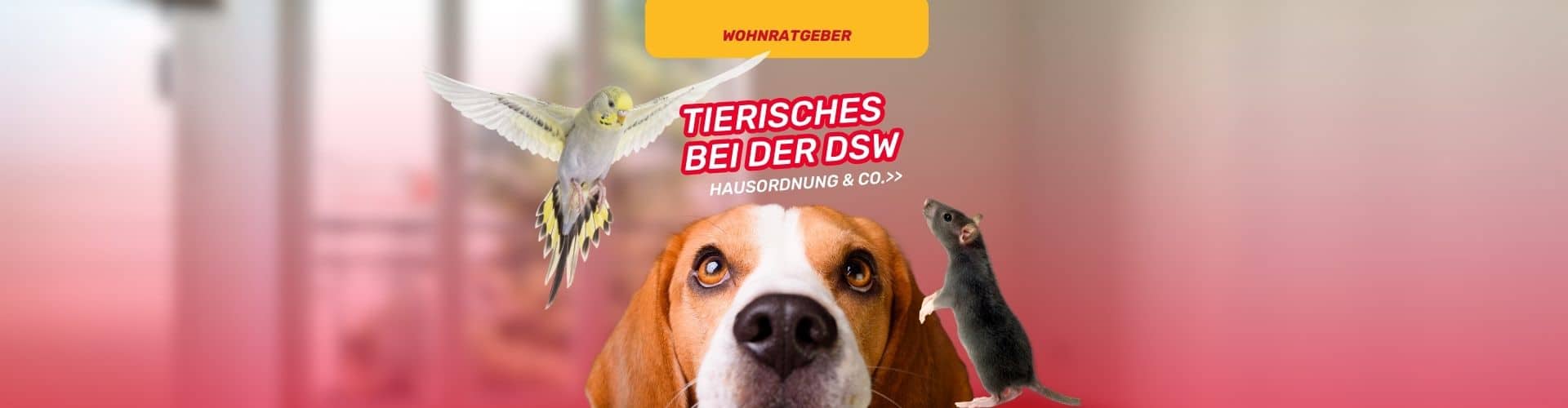 Umgang mit Tieren im Wohnalltag unserer Genossenschaft